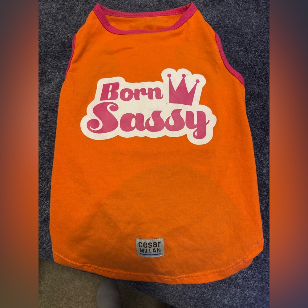 Pet Cesar Millan 
Medium
Cat or Dog
Born Sassy 👑